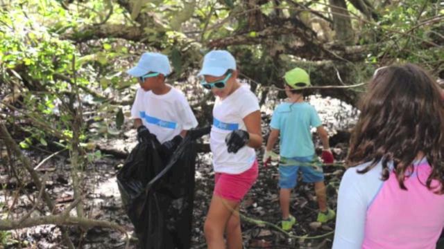 Nettoyage la mangrove de Tina-sur-Mer