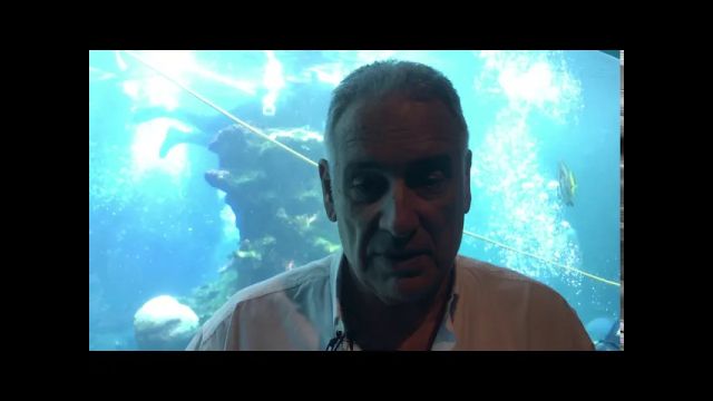 L'aquarium des Lagons se vide de ses requins