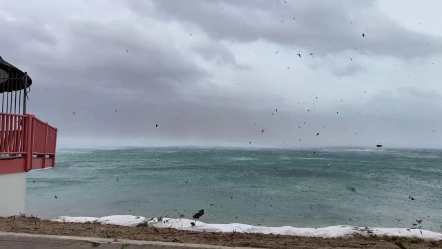 L’arrivée du cyclone Niran à Nouméa