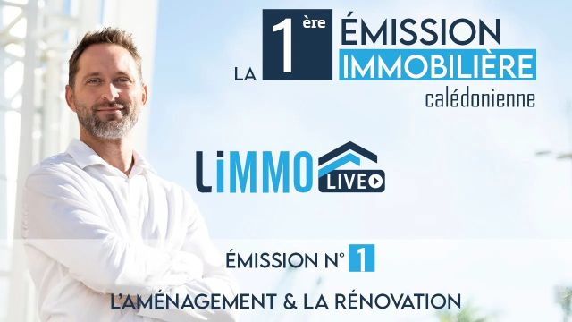 Limmo Live - Emission n°1 | L'aménagement & la rénovation